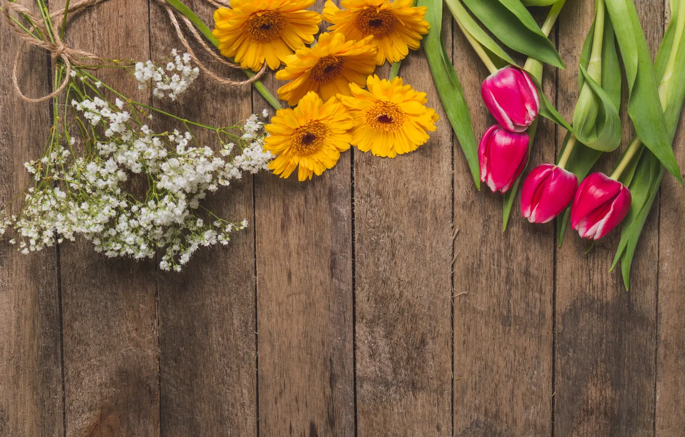 Фото обои цветы, весна, тюльпаны, герберы, бутоны