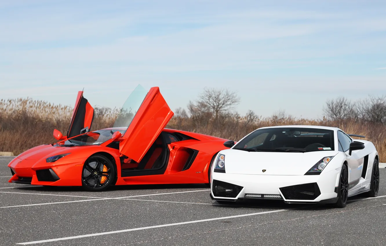 Фото обои белый, оранжевый, парковка, white, lamborghini, orange, aventador, lp700-4