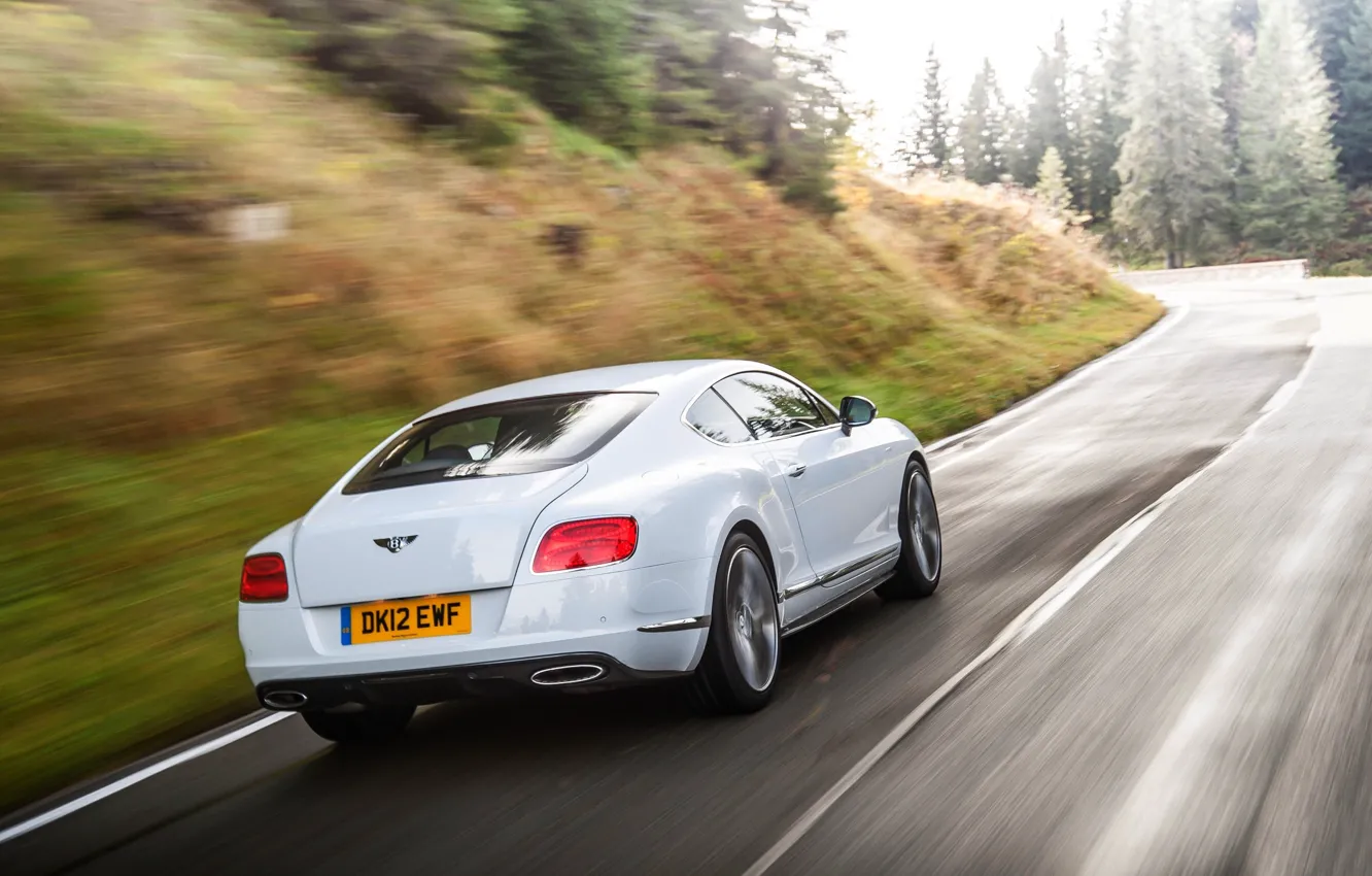 Фото обои Bentley, Continental, Дорога, Белый, Лес, Машина, В Движении