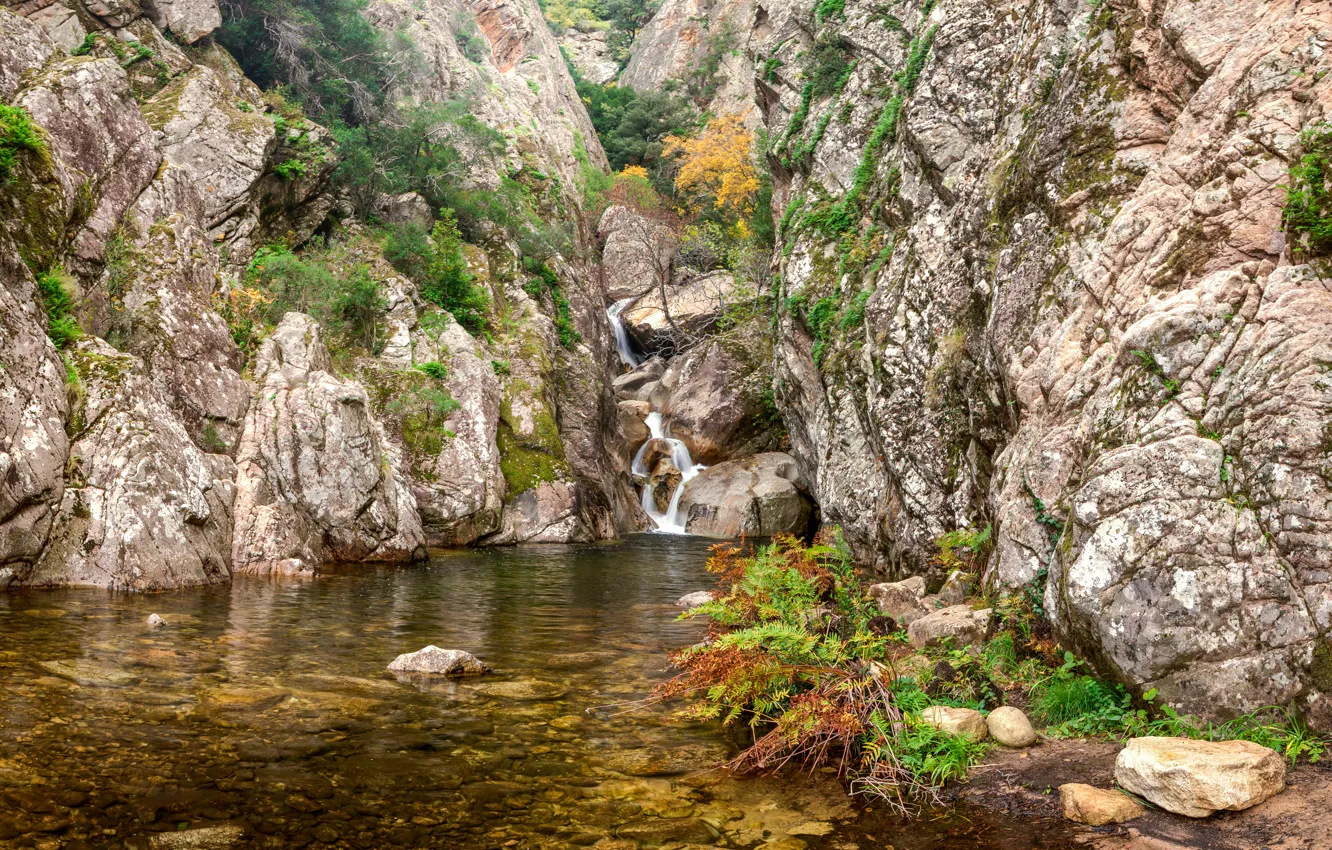 Фото обои ручей, камни, скалы, Франция, водопад, кусты, Corsica