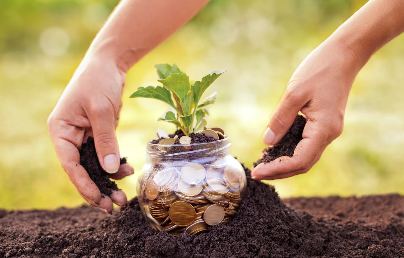 Фото обои future, land, money, plant, savings