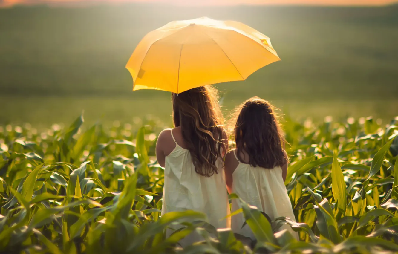 Фото обои поле, девочки, зонт, кукуруза, девочка, сёстры