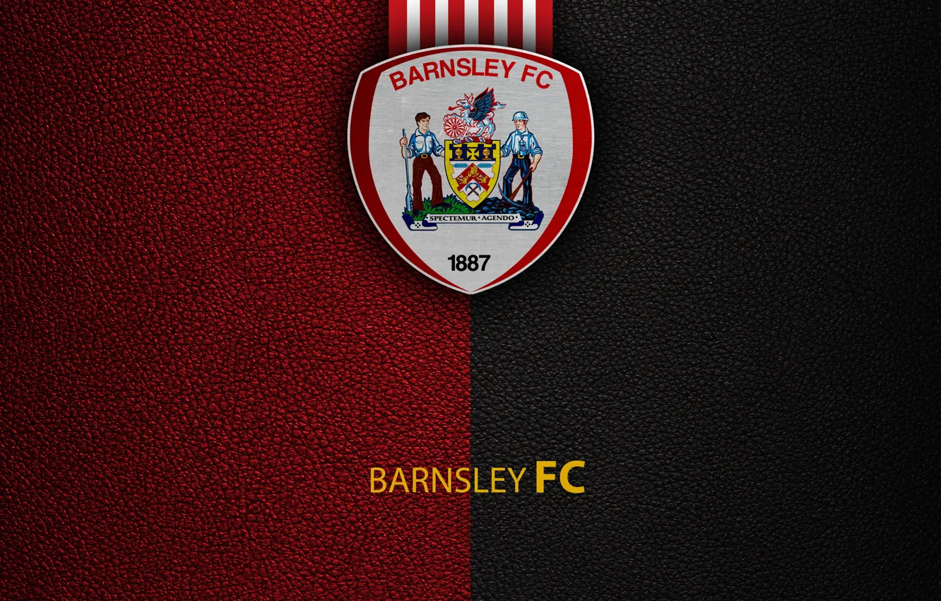 Фото обои wallpaper, sport, logo, football, English Premier League, Barnsley