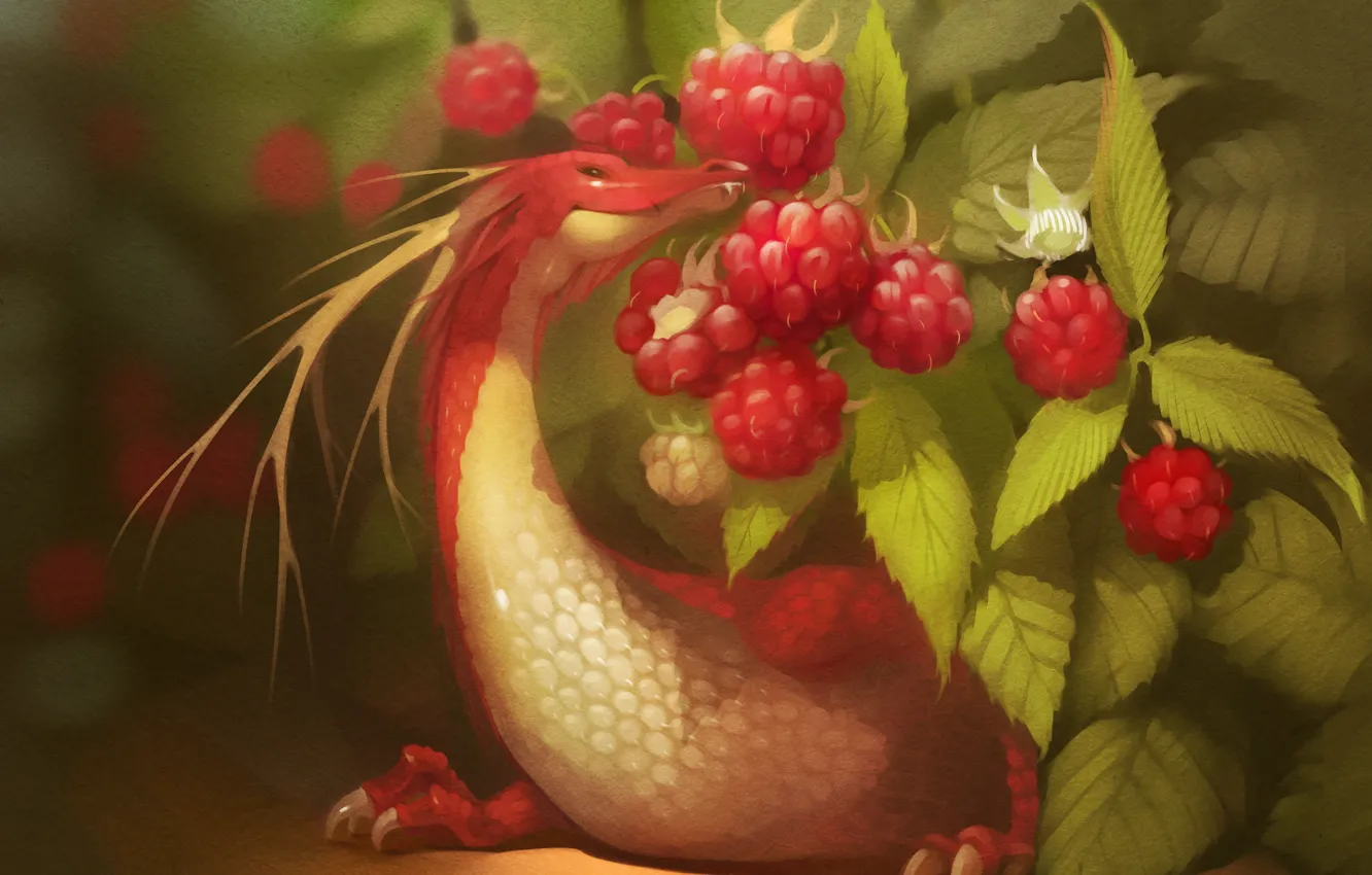 Фото обои красный, ягоды, малина, дракон, арт