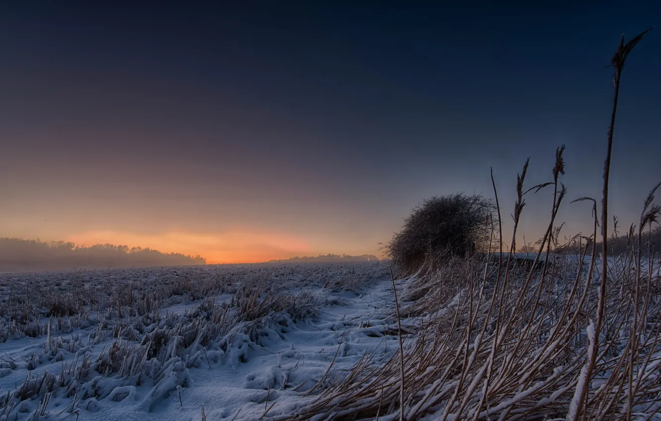 Фото обои зима, поле, снег, природа, вечер