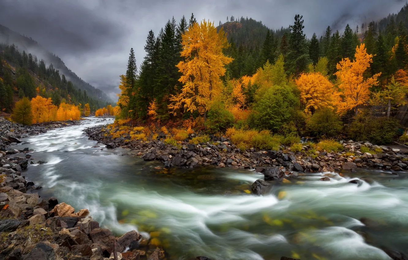 Фото обои осень, река, камни, течение, Doug Shearer