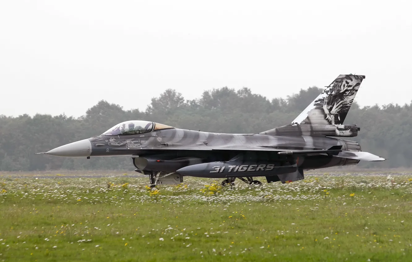 Фото обои истребитель, аэродром, F-16, Fighting Falcon, многоцелевой, «Файтинг Фалкон»