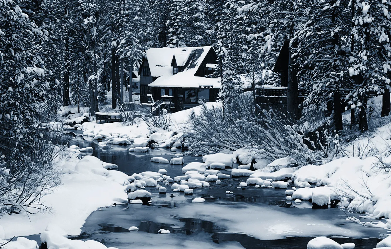 Фото обои зима, лес, дом, речка