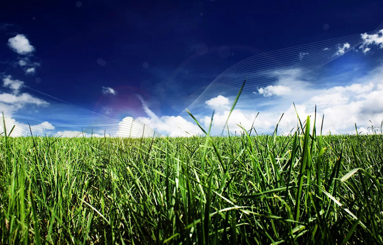 Фото обои трава, облака, линии