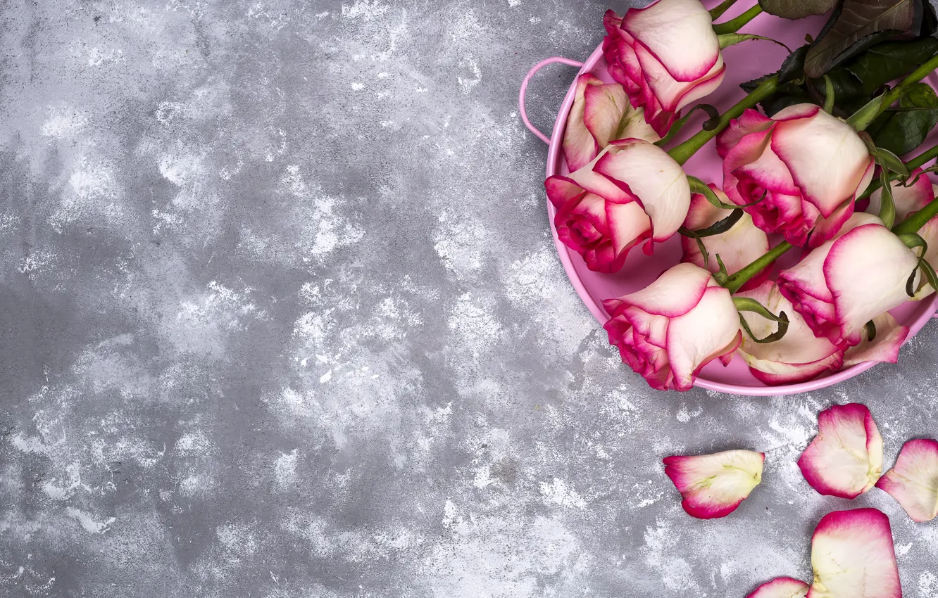 Фото обои цветы, розы, букет, розовые, pink, flowers, beautiful, roses