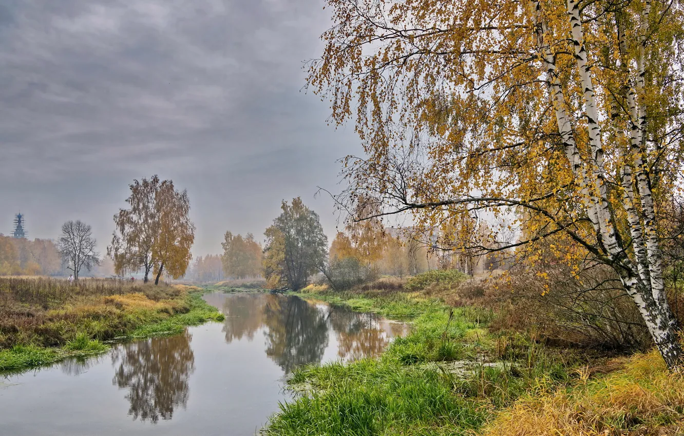 Фото обои осень, деревья, пейзаж, туман, река, берёзы, золотая осень, клязьма