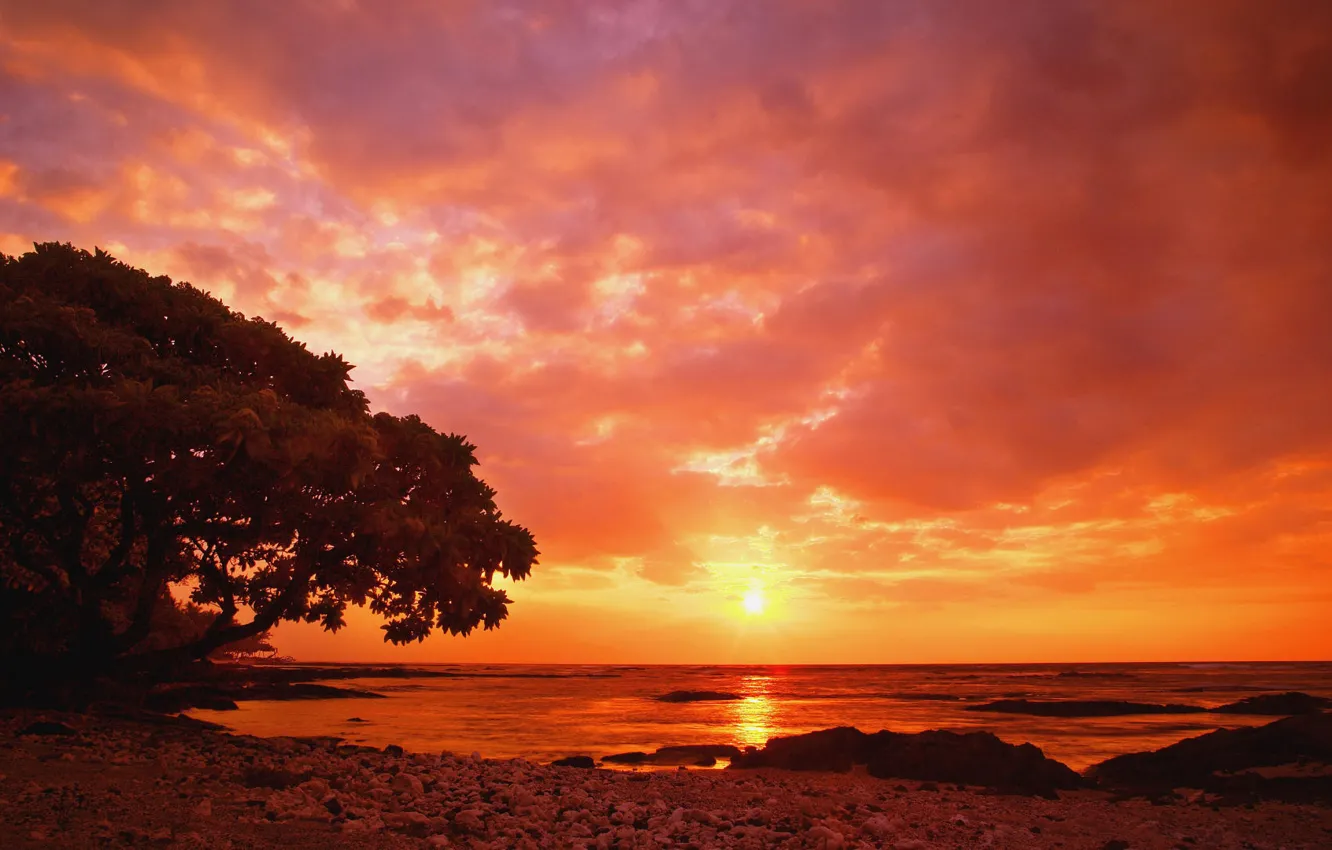 Фото обои море, берег, wallpaper, side, sea, sunset, красный закат