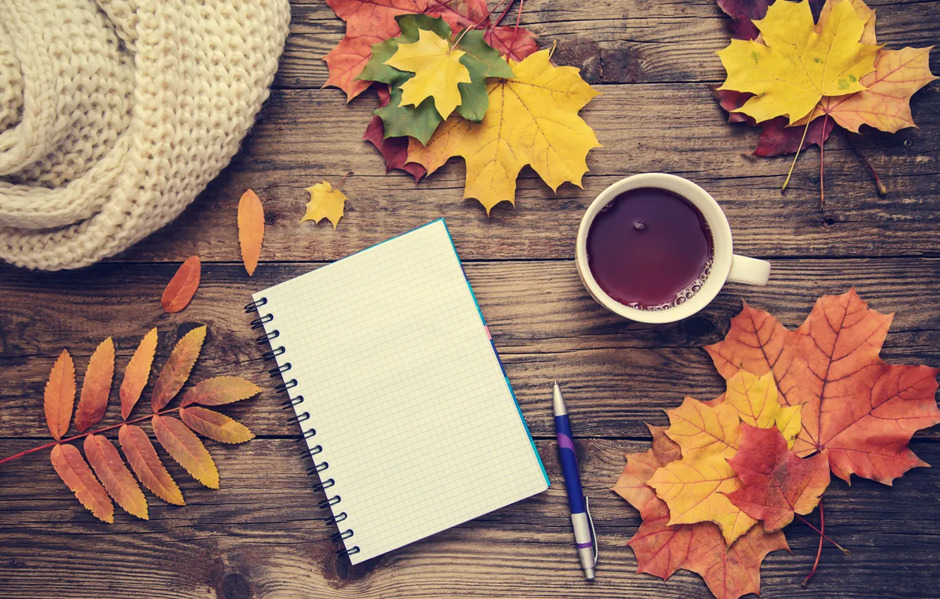 Фото обои осень, листья, фон, colorful, клен, wood, notebook, autumn