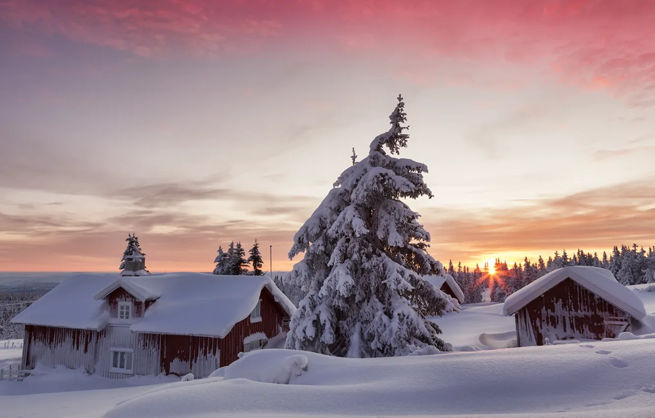 Фото обои зима, снег, дом, утро