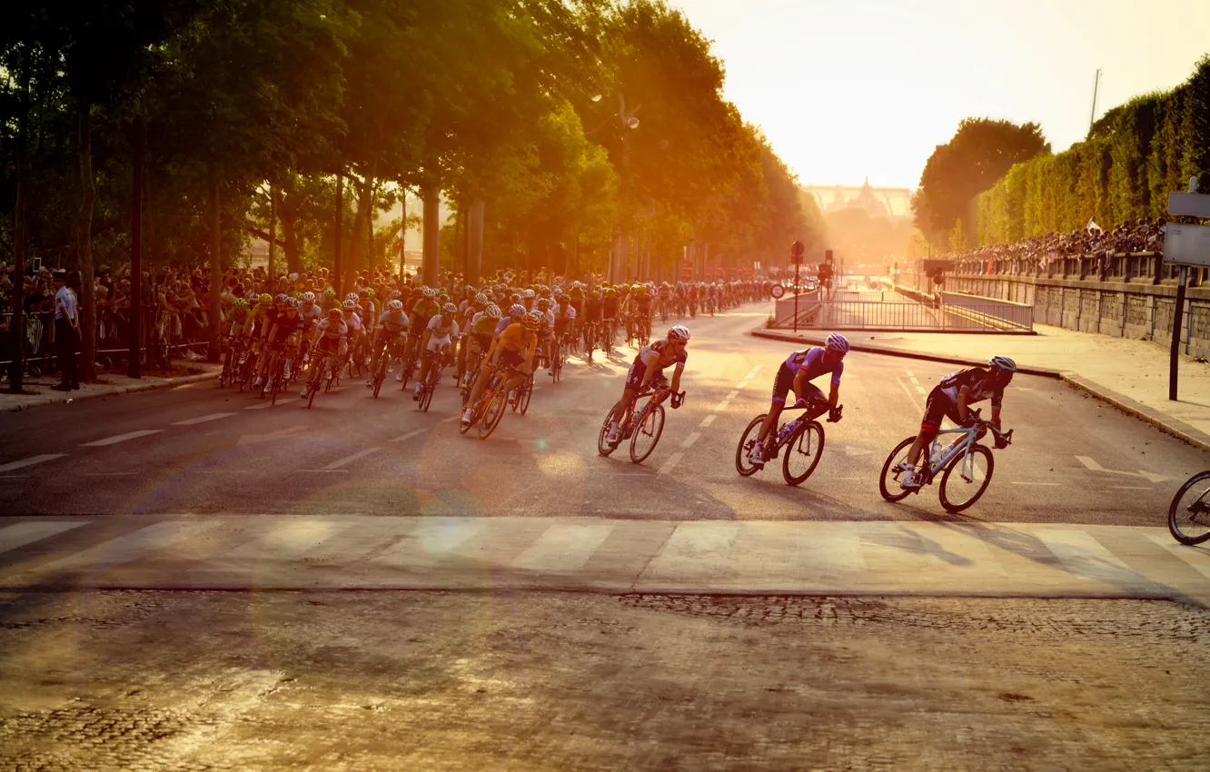 Фото обои велосипед, гонка, Париж, Paris, спортсмены, марафон, Cycling, велогонщики