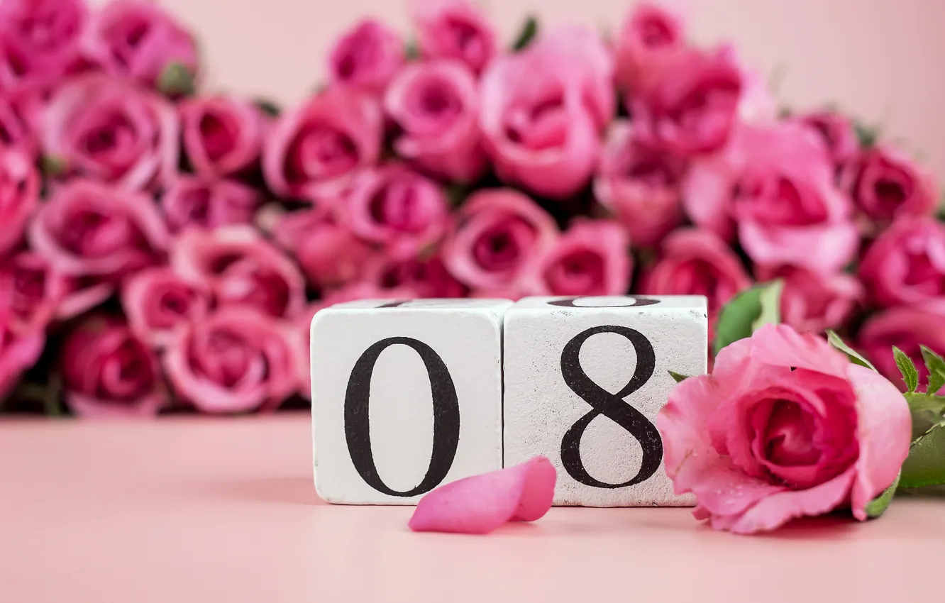 Фото обои цветы, розы, цифра, happy, 8 марта, pink, flowers, spring