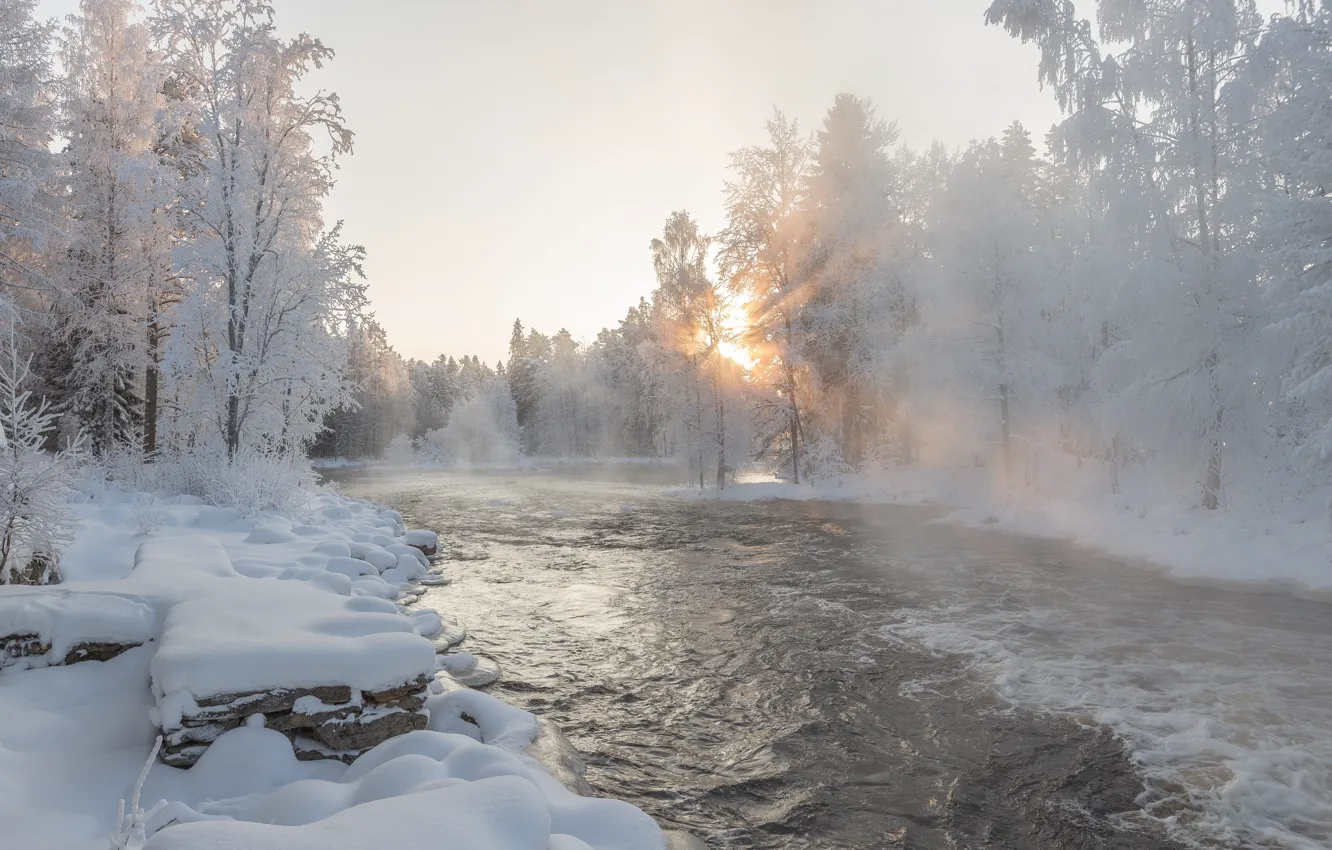 Фото обои зима, иней, лес, солнце, снег, природа, река, берег