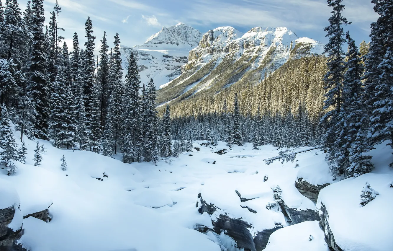 Фото обои зима, пейзаж, горы