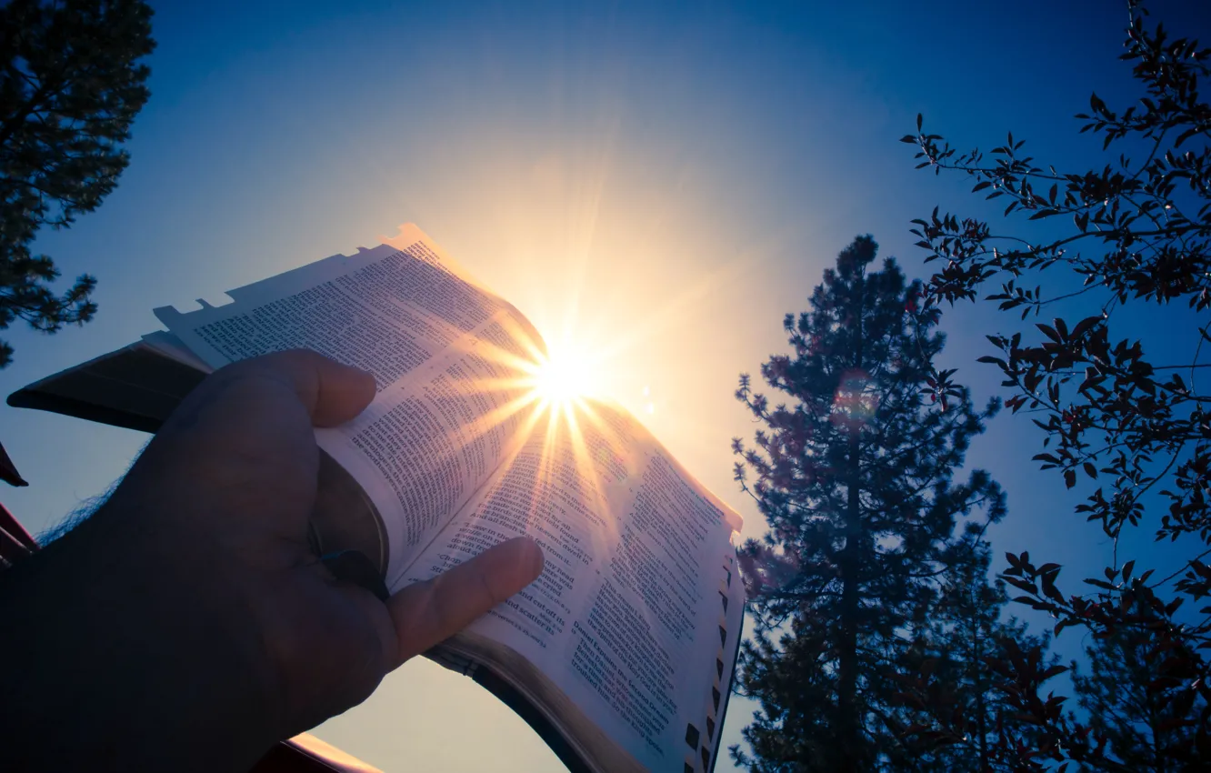 Фото обои Christian, Sunshine, God, Trees, Lord, Bible, Sunlight, Jesus