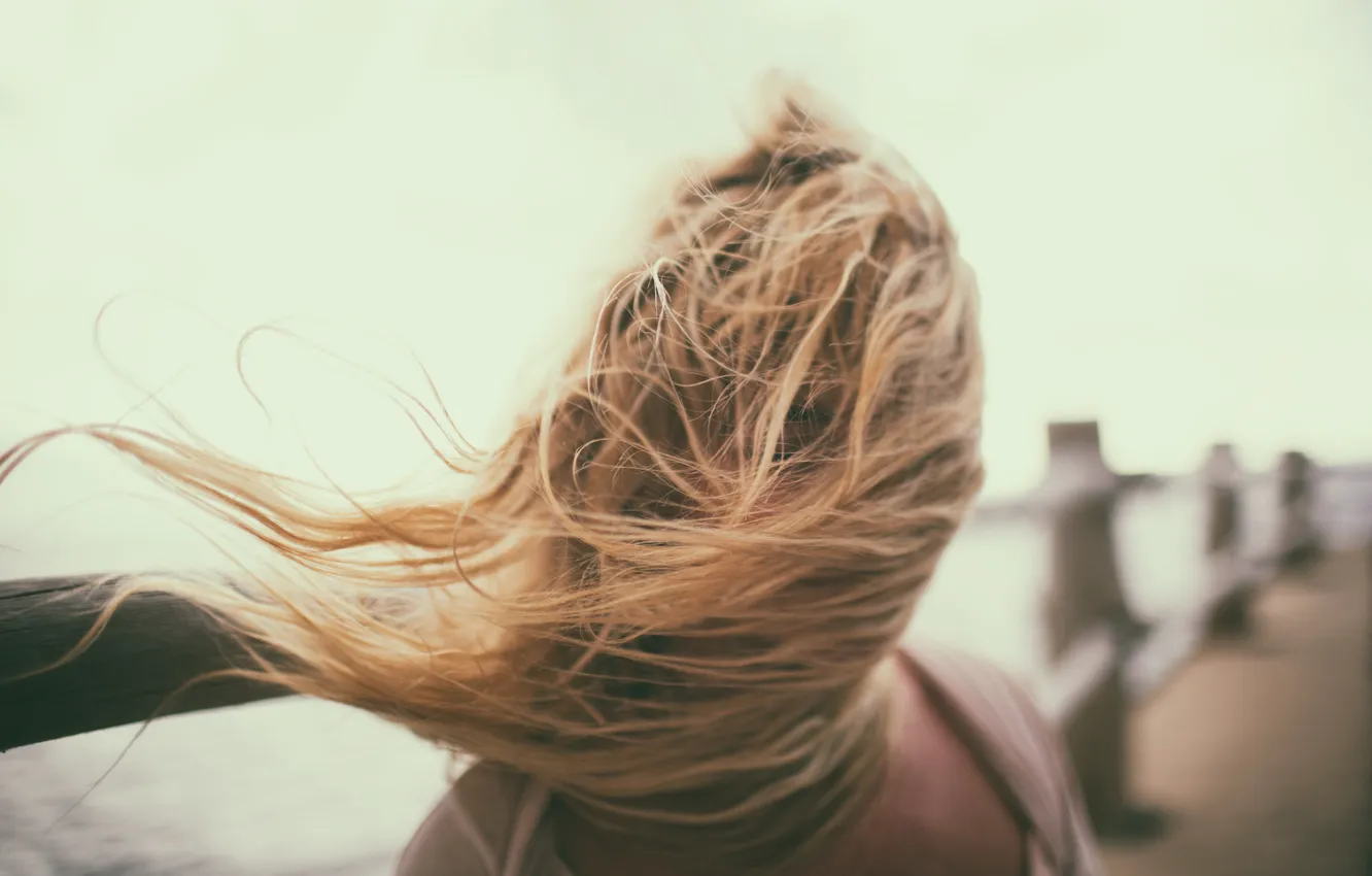 Фото обои девушка, ветер, волосы, боке