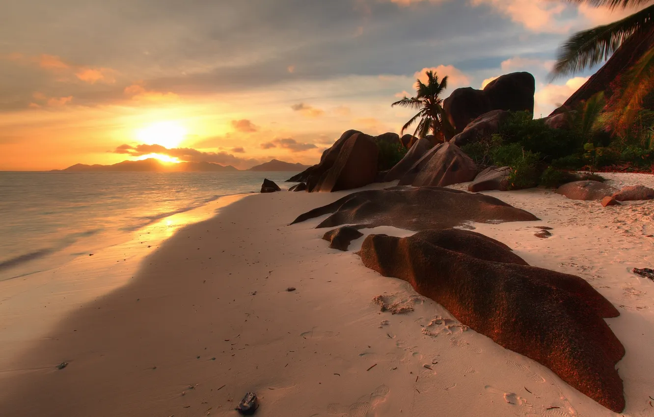 Фото обои песок, море, пляж, закат, тропики, пальма, камни