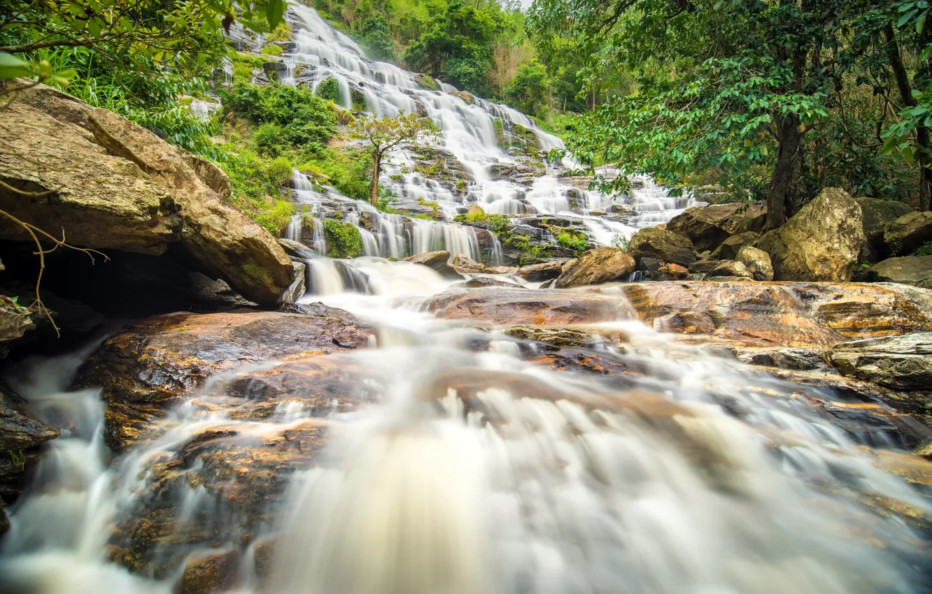 Фото обои лес, река, водопад, forest, каскад, river, landscape, jungle