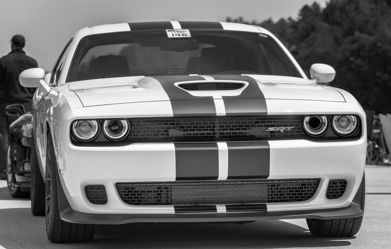 Фото обои Dodge, Challenger, Hellcat, SRT