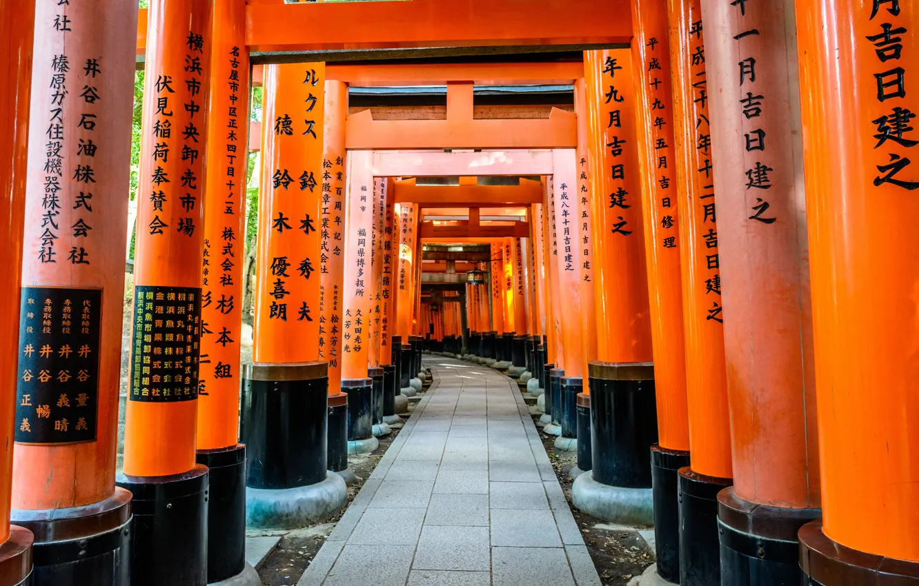 Фото обои Дорога, Япония, Храм, Киото, Иероглифы, Тории, Фусими Инари