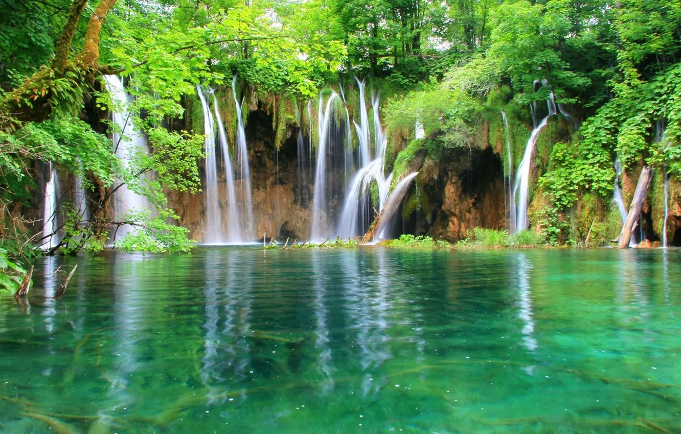 Фото обои лес, вода, водопад