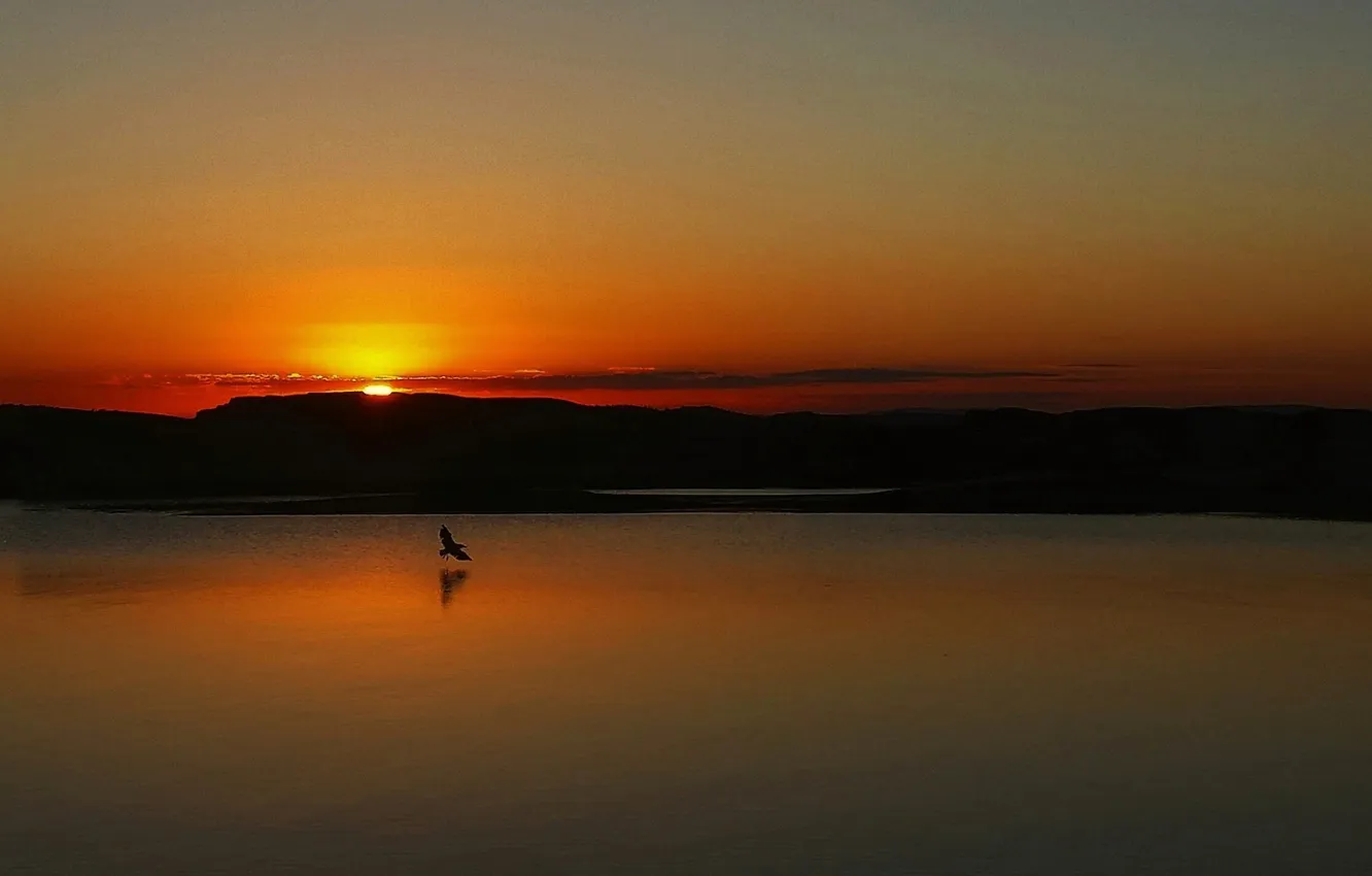 Фото обои закат, птицы, озеро, отражение, зеркало, оранжевое небо
