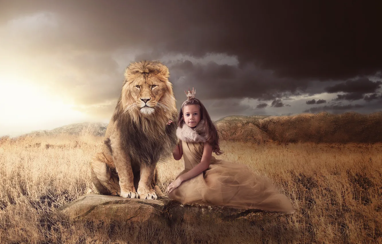 Фото обои трава, природа, камни, животное, хищник, лев, корона, девочка