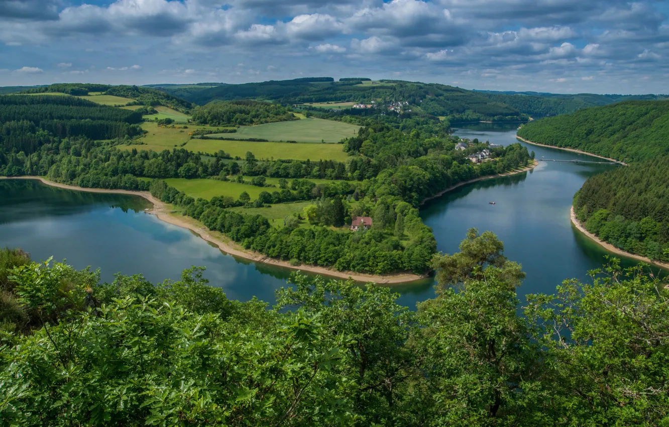 Фото обои лес, деревья, озеро, панорама, Люксембург, Luxembourg, водохранилище, Озеро От-Сюр