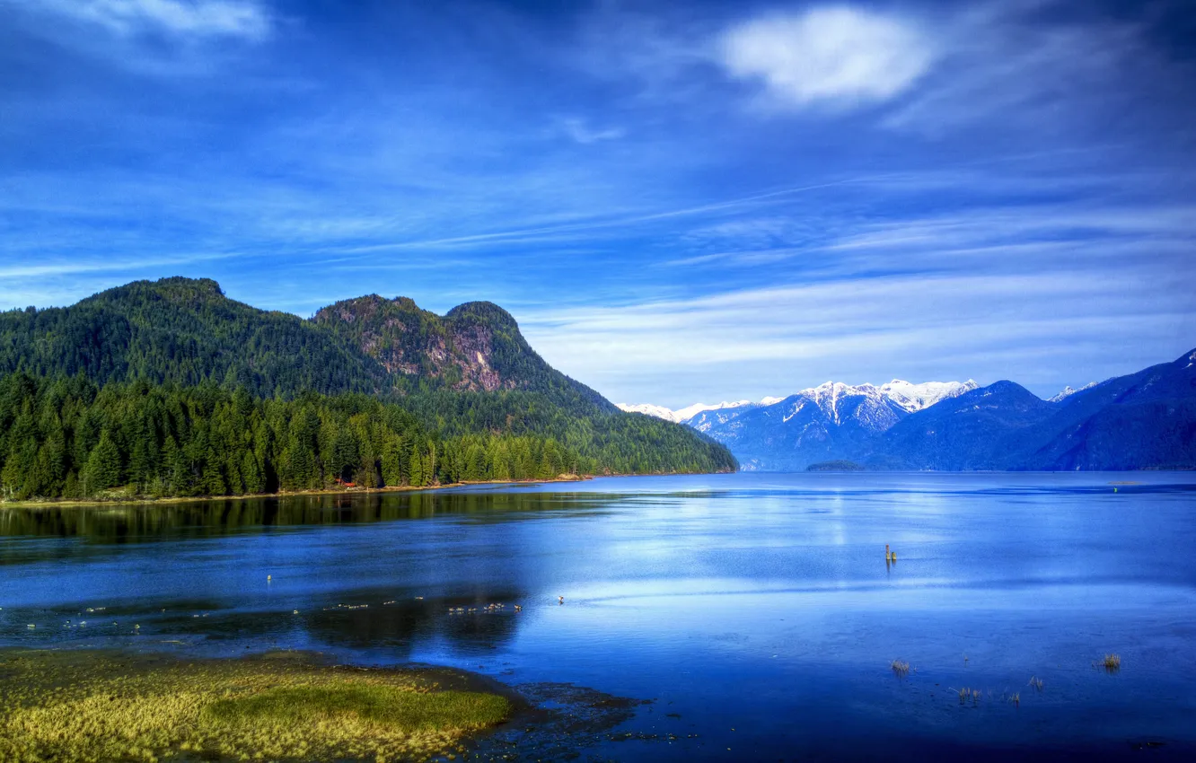Фото обои лес, небо, деревья, горы, озеро, голубое, берег, утки