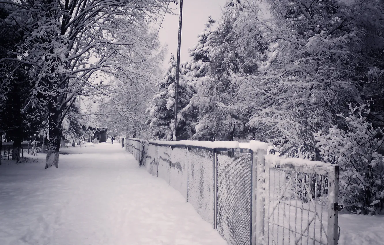 Фото обои зима, снег, город, улица, вечер, карачаевск