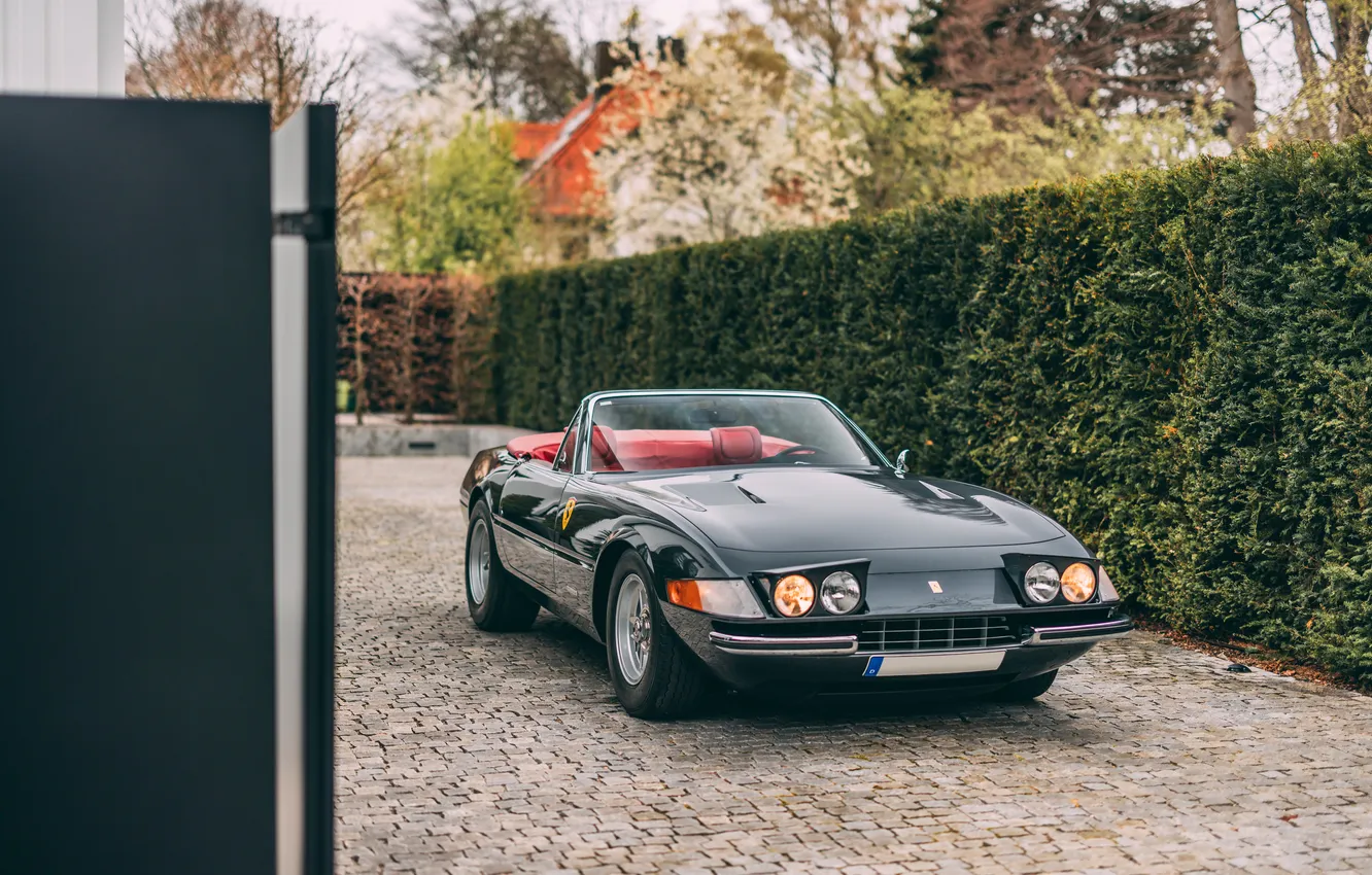 Фото обои Ferrari, 365, 1972, Ferrari 365 GTS/4 Daytona