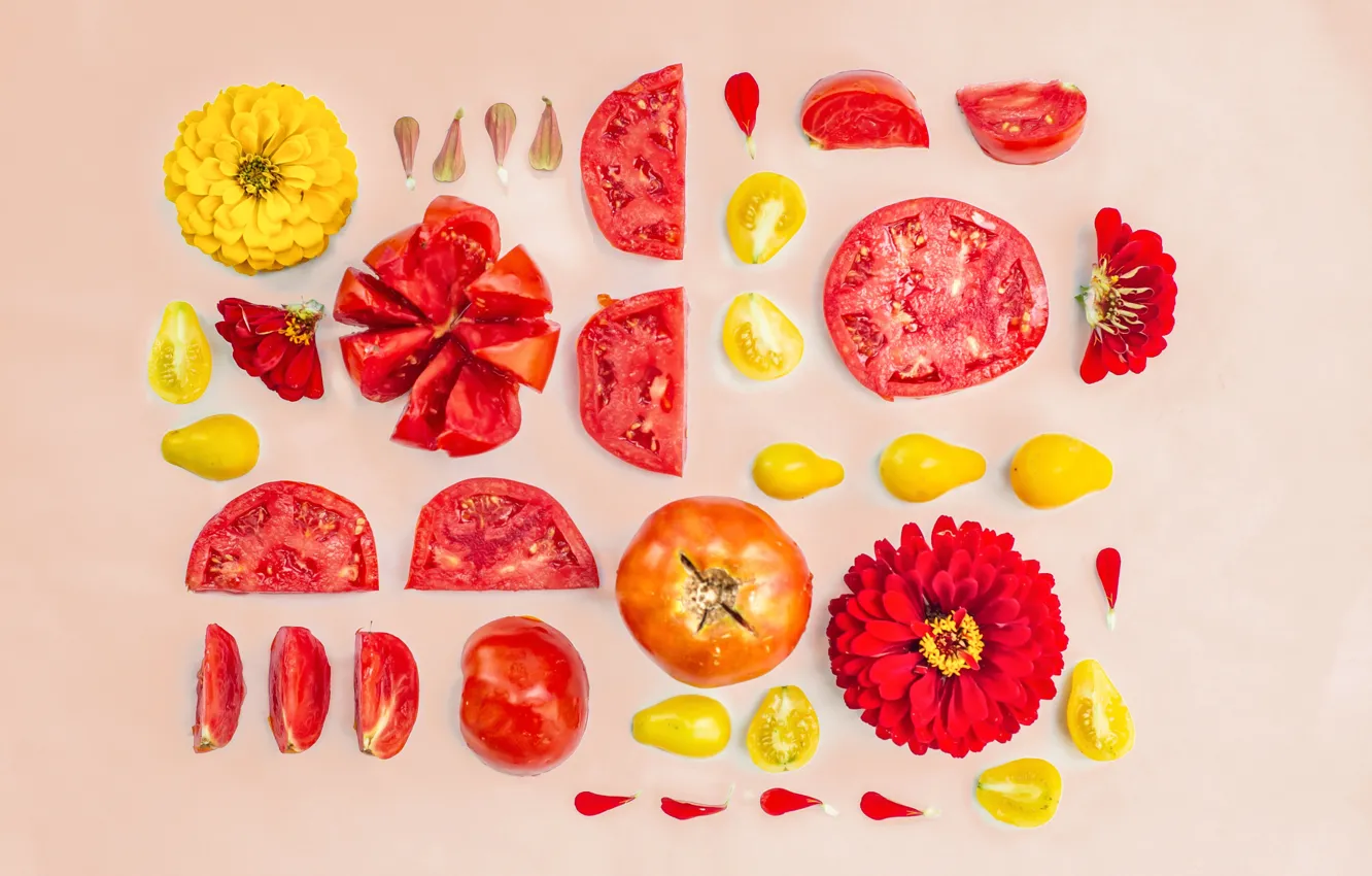 Фото обои цветы, еда, овощи, томат, помидор