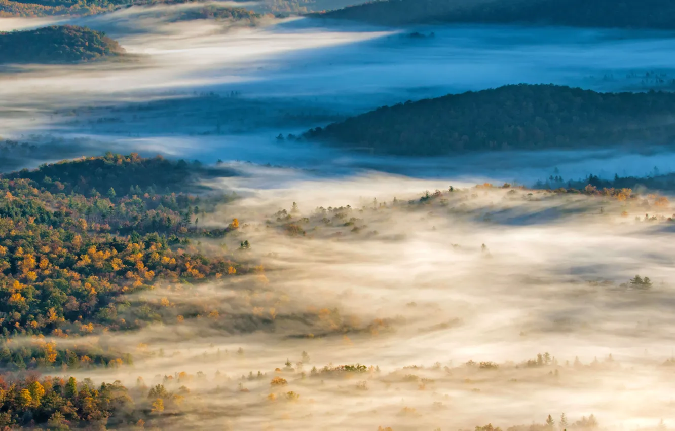 Фото обои осень, туман, холмы, США, Северная Каролина