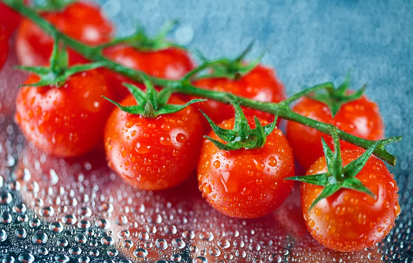 Фото обои капли, красные, помидоры, томаты