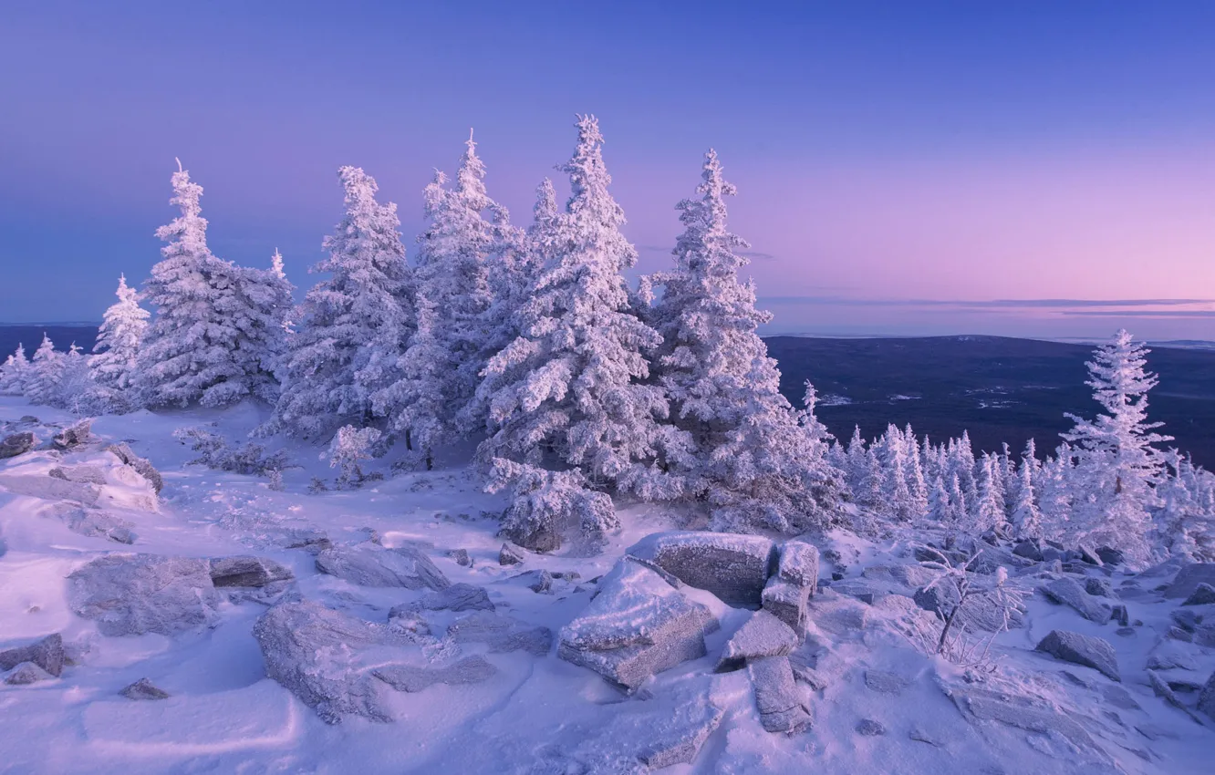 Фото обои зима, иней, лес, небо, снег, горы, камни, вид