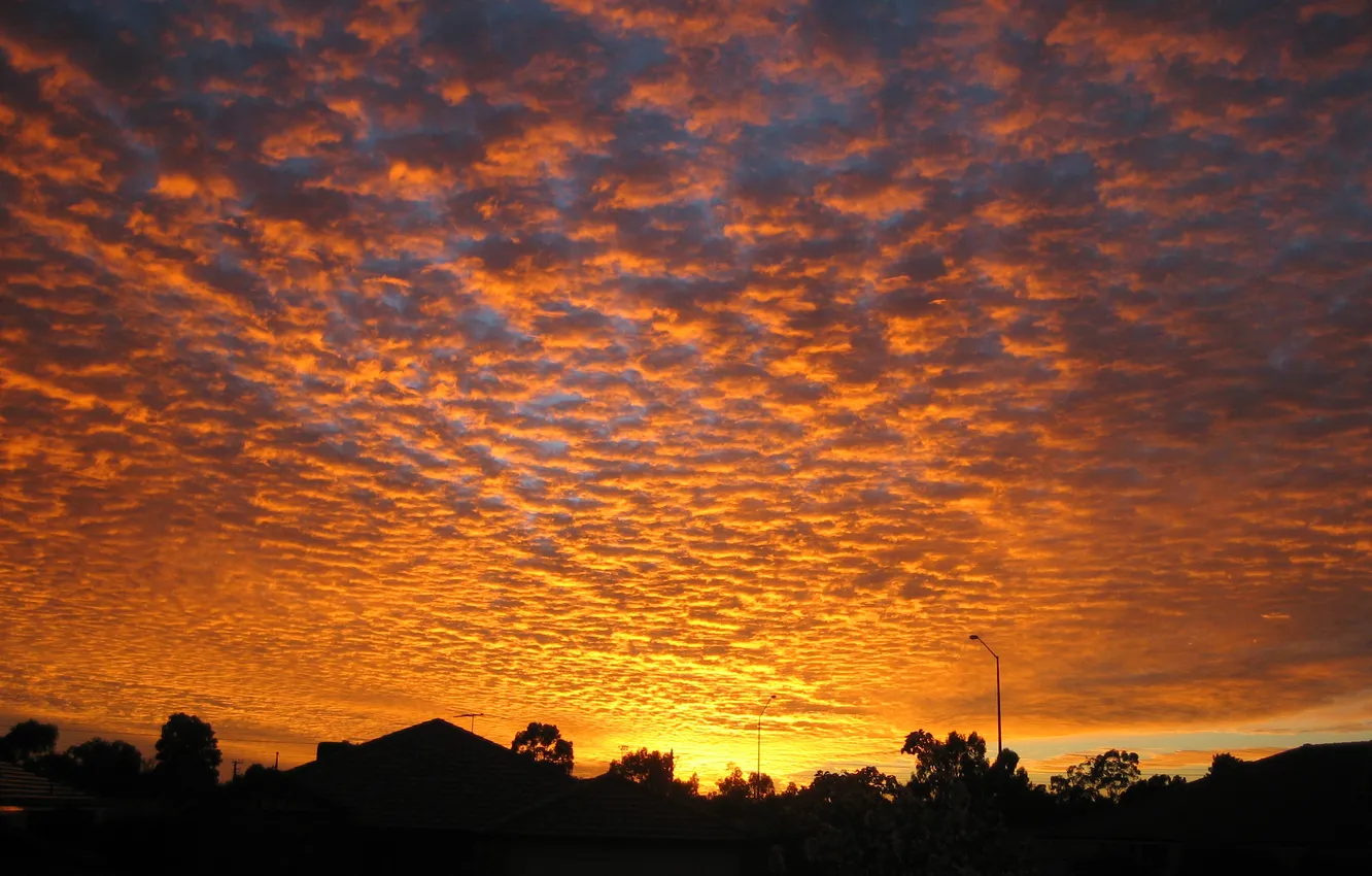 Фото обои Sunset, Australia, Suburban, Homes, Perth