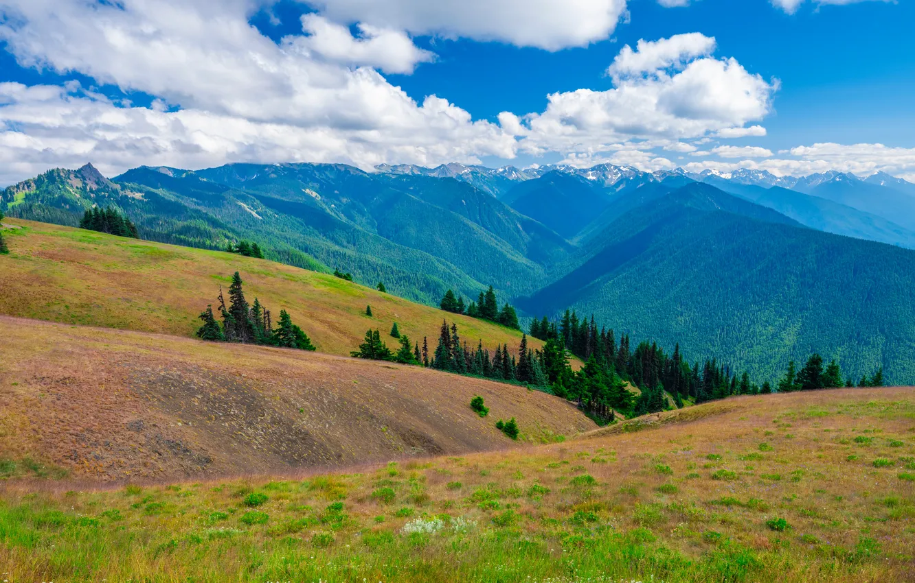 Фото обои облака, Горы, Вашингтон, США, Пейзаж, Hurricane Ridge, Парки