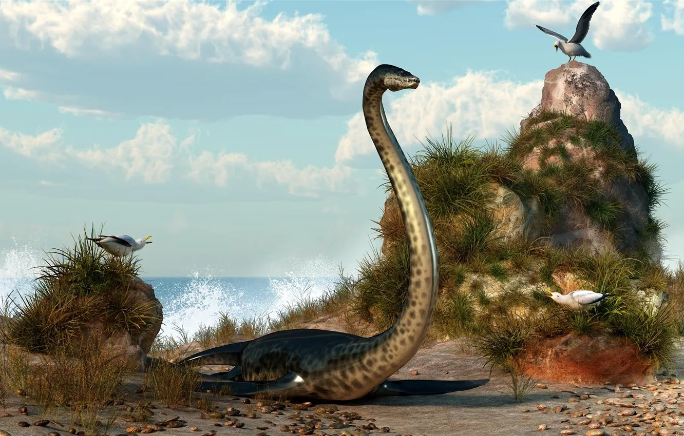 Фото обои море, камни, чайки, динозавр, арт, ракушки, deskridge