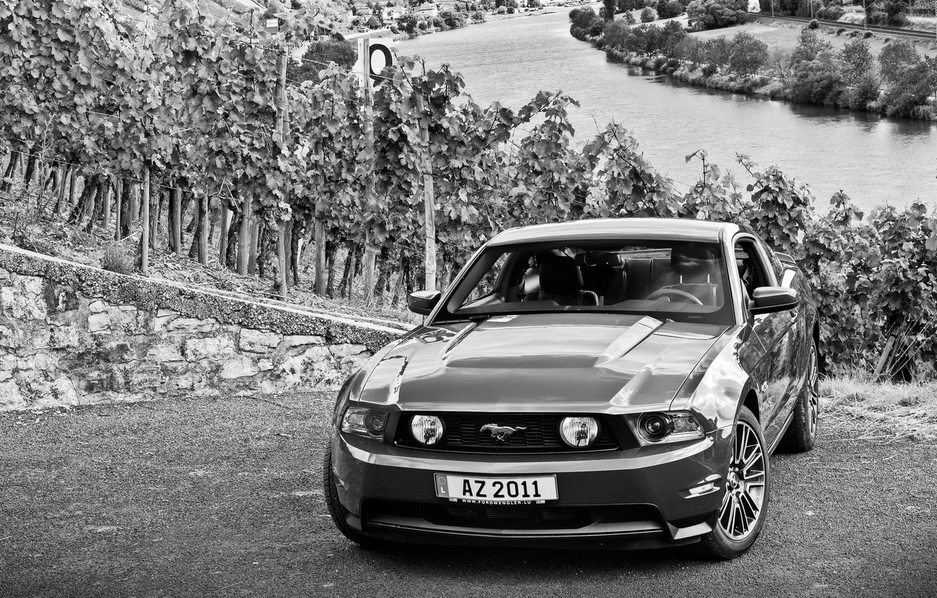 Фото обои cars, auto, обои авто, cars wall, Ford mustang