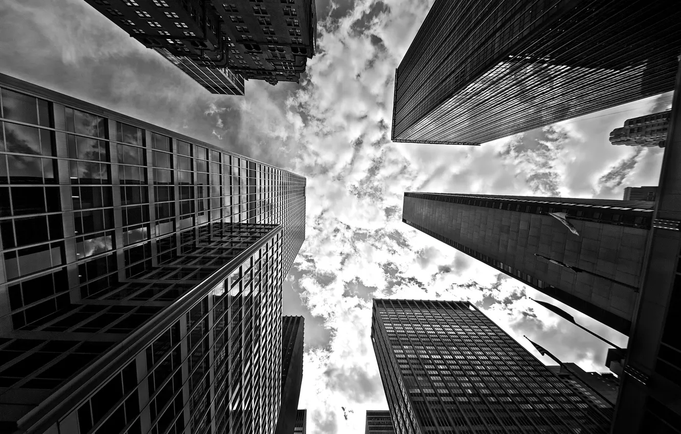 Фото обои небо, облака, здания, небоскребы