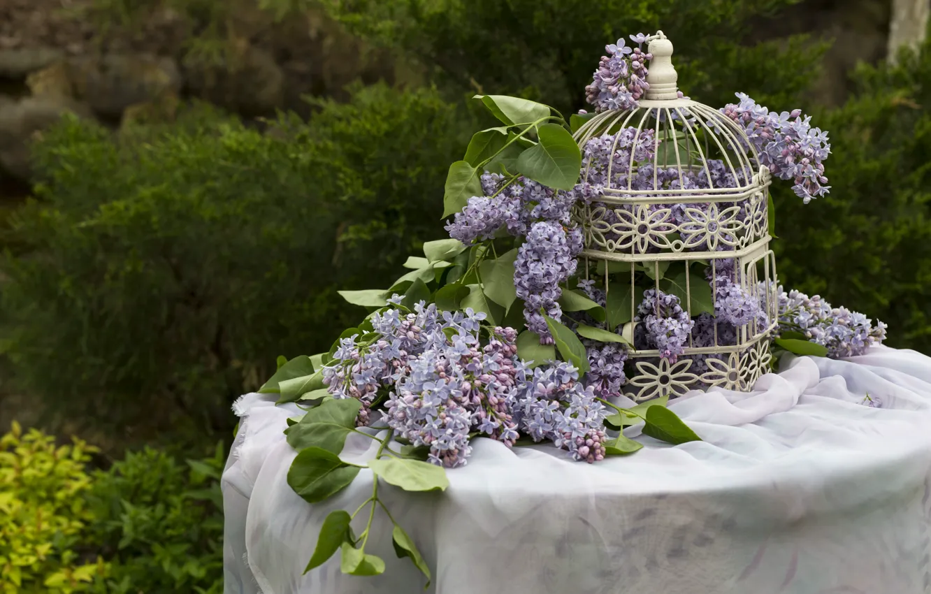 Фото обои цветы, стол, клетка, flowers, сирень, lilac
