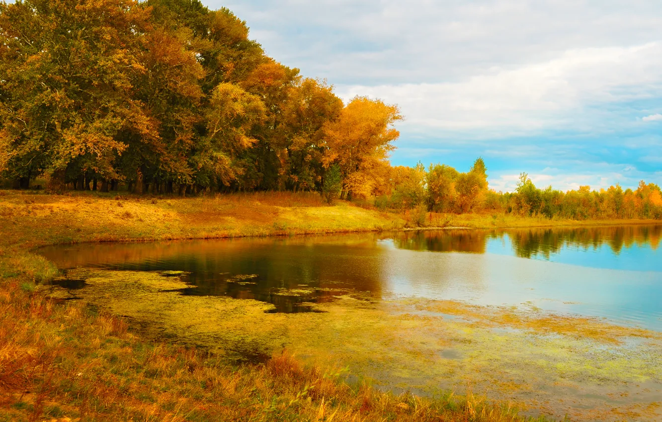 Фото обои осень, деревья, природа, озеро, Nature, trees, autumn, lake