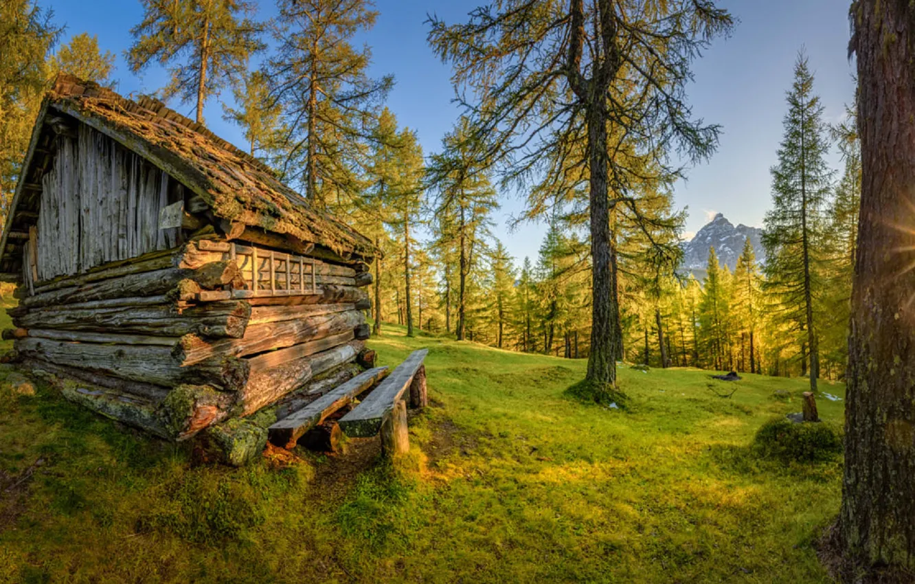 Фото обои осень, солнце, деревья, природа, домик, Stefan Thaler