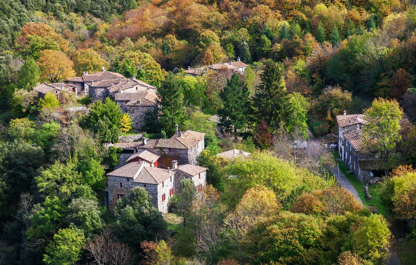 Фото обои осень, лес, деревья, Франция, дома, вид сверху, L'Estrechure