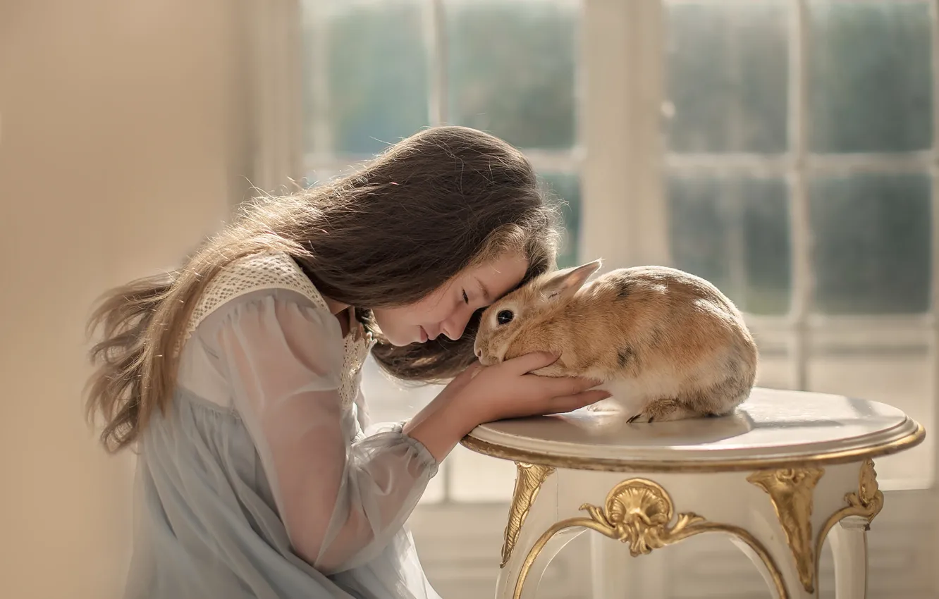 Фото обои заяц, кролик, дружба, девочка