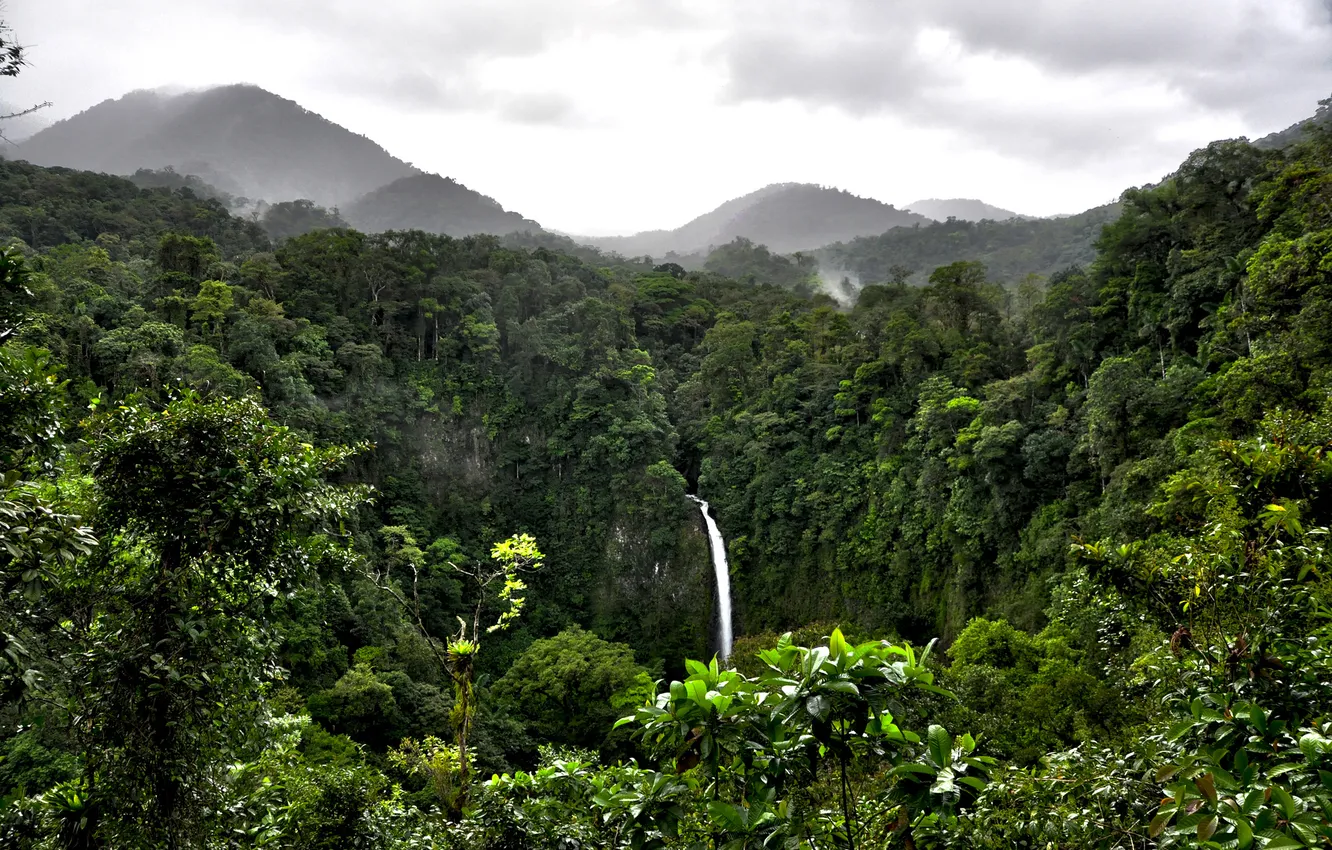 Фото обои лес, облака, горы, водопад, джунгли